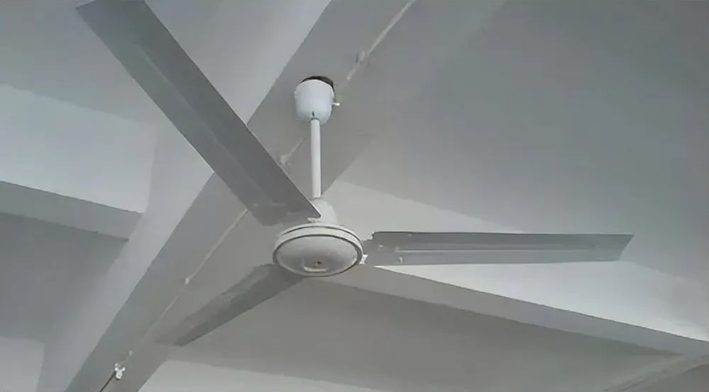 640.jpg