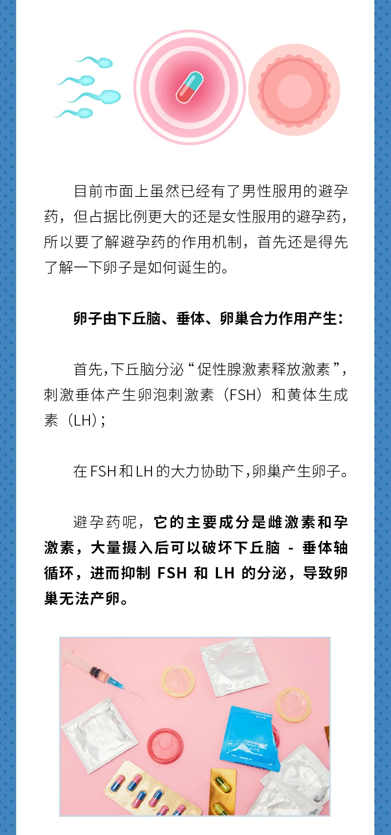 640 (2).webp