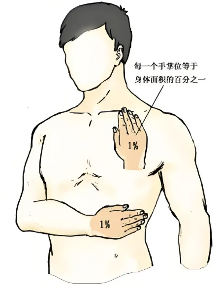 640 (3).webp
