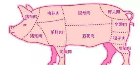 093936xu51zea5fet7fjvb.jpeg