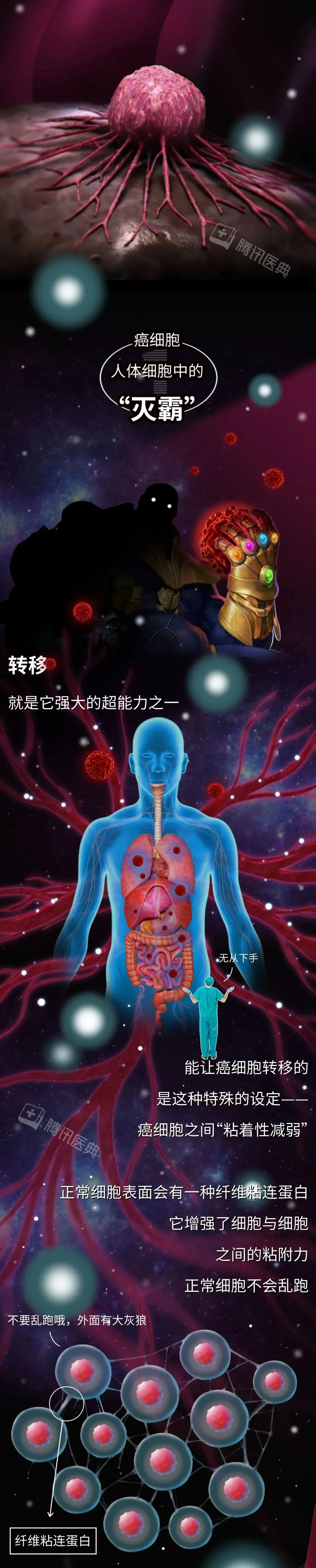 1 (3).webp