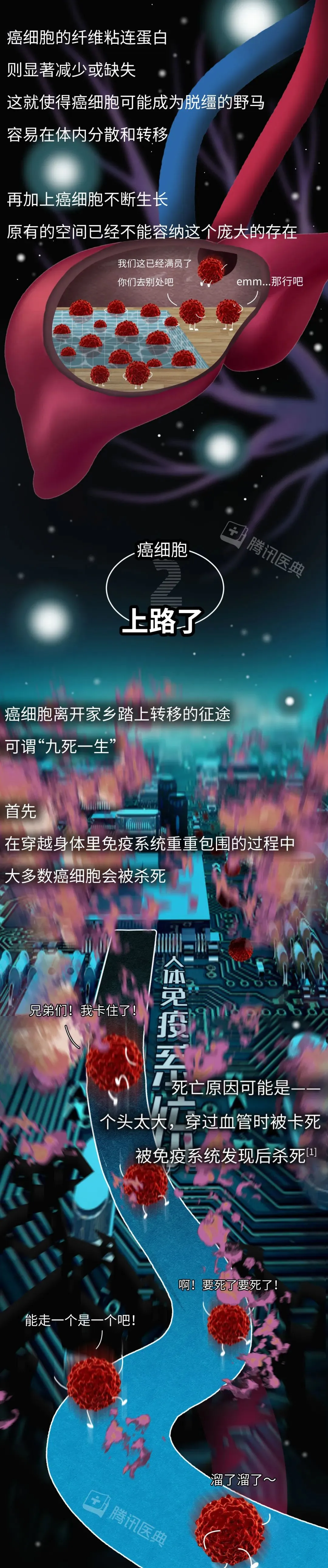 1 (4).webp
