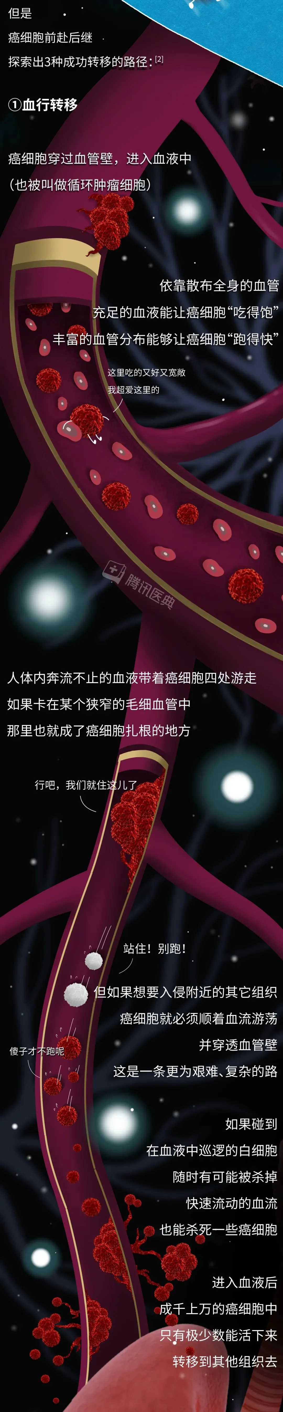 1 (5).webp