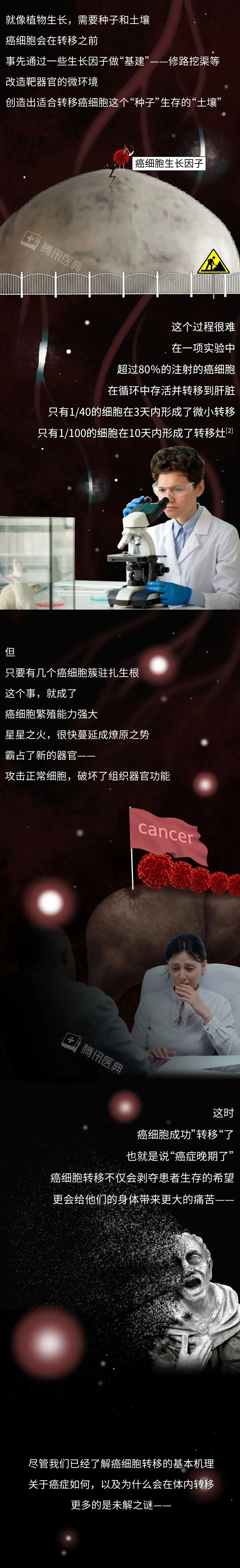 1 (8).webp