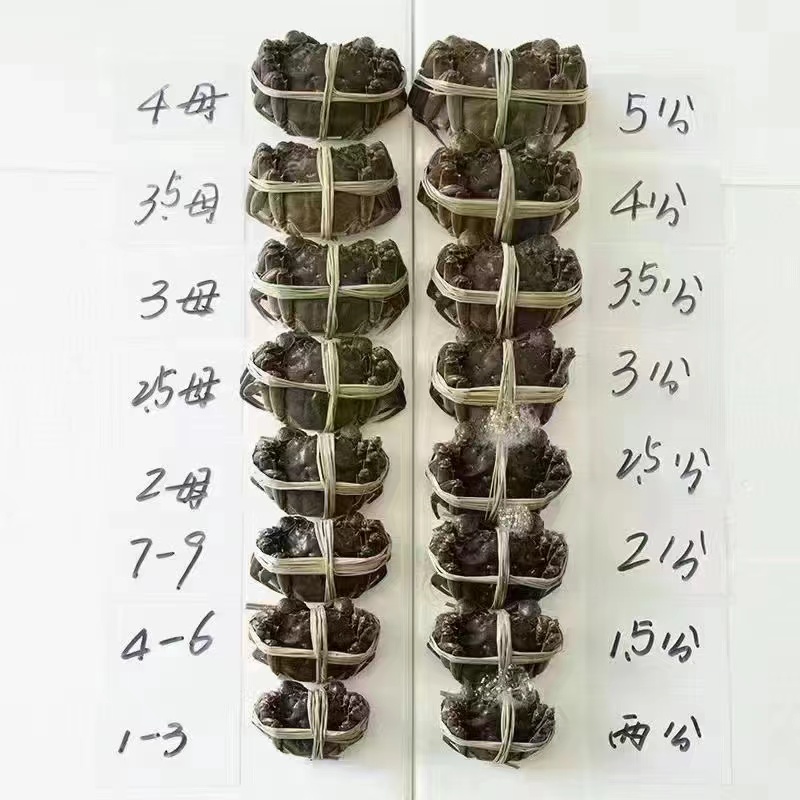螃蟹标准.jpg