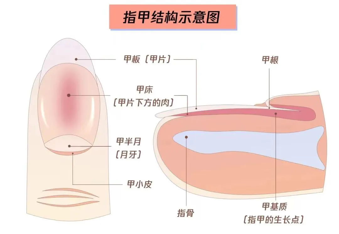 640 (1).webp