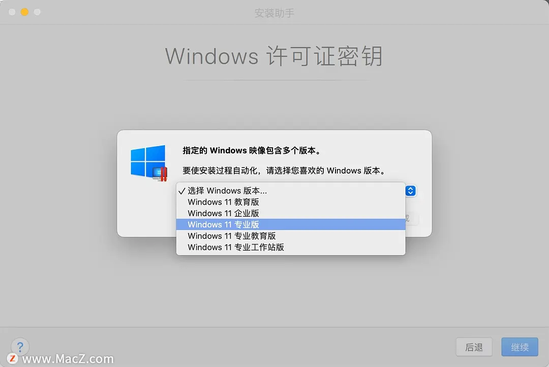 1 (8).webp