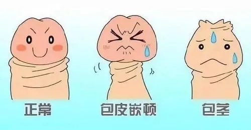 640 (1).webp