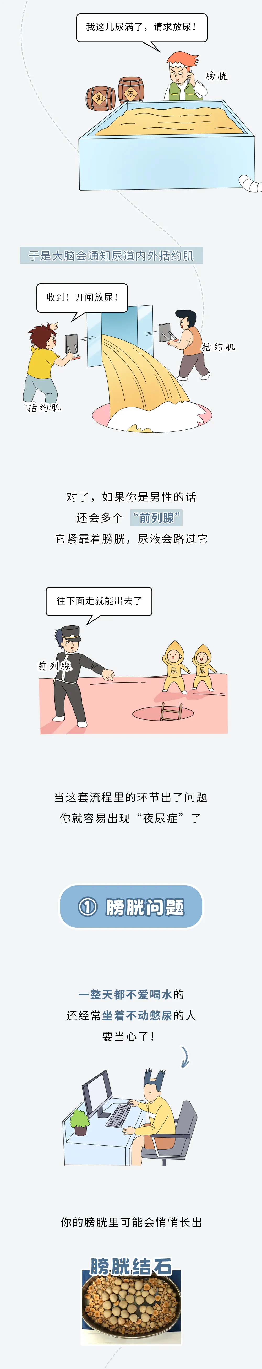 11 (3).webp