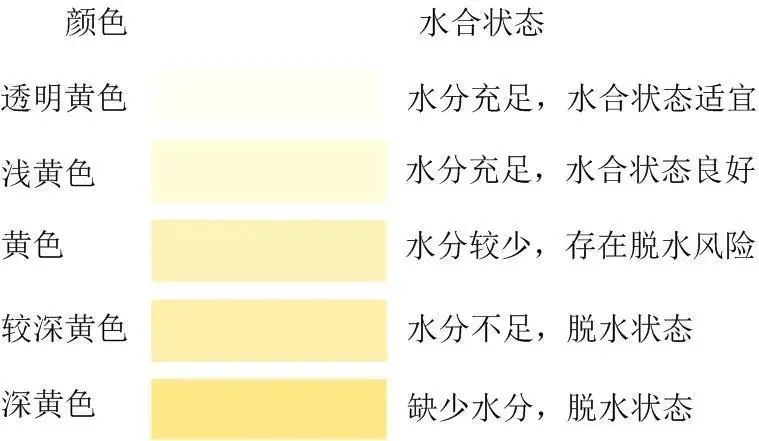 640 (11).webp