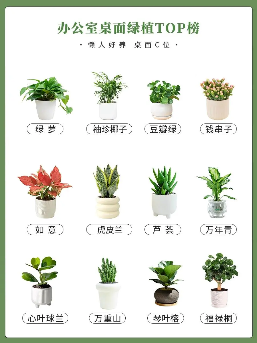111 (3).webp