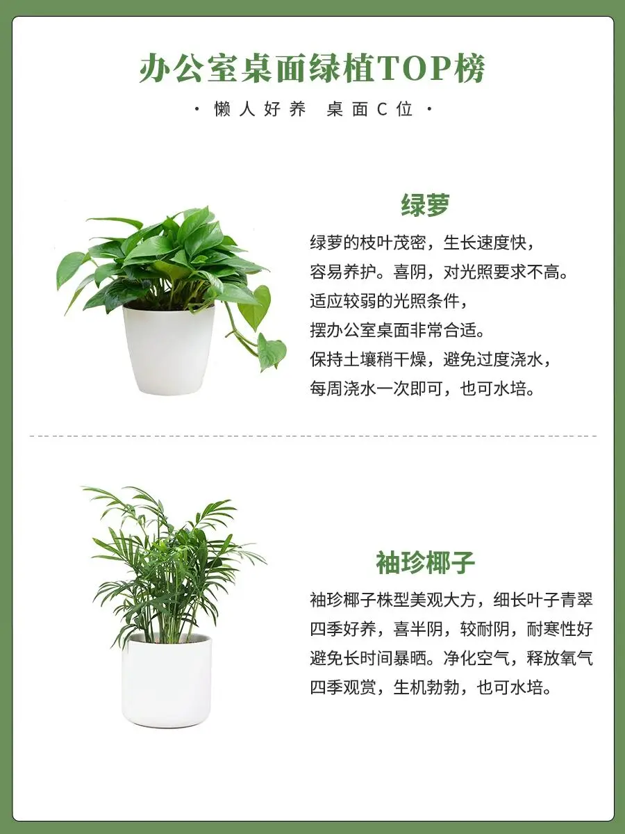 111 (4).webp