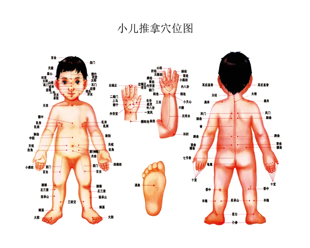 640 (6).webp