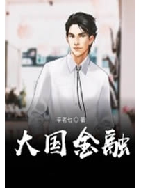 《大国金融》作者：辛老七
