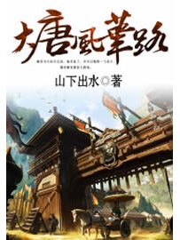 《大唐风华路》作者：山下出水