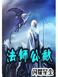 《法师公敌》作者：闪耀星尘