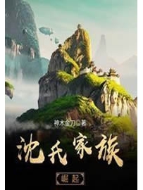 《沈氏家族崛起》作者：神木金刀