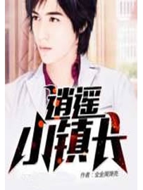 《逍遥小镇长》作者：全金属弹壳