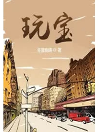 《玩宝》作者：冬雪晚晴
