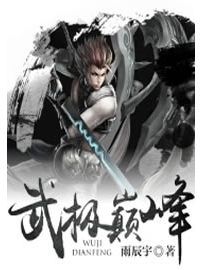 《武极巅峰》作者：雨辰宇
