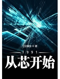 《1991从芯开始》作者：三分糊涂