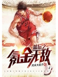 《篮坛之氪金无敌》作者：肉末大茄子