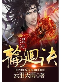 《混沌轮回决》作者：云泪天雨