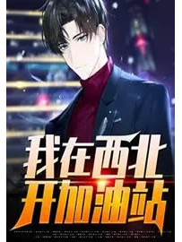 《我在西北开加油站》作者：爸爸无敌