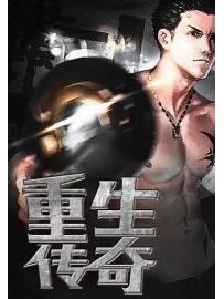 《重生传奇》作者：紫箫