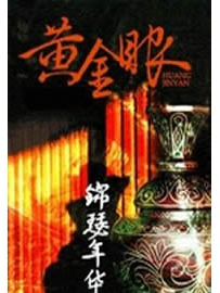 《黄金眼》作者：锦瑟华年