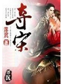 《夺宋》作者：浮沉