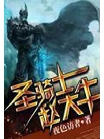 《圣骑士赵大牛》作者：夜色访者