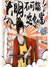 《大明不可能这么富》作者：肉猫小四