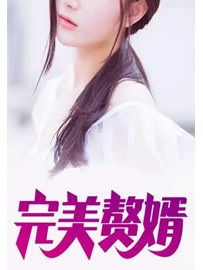 《完美赘婿》作者：吴笔