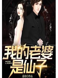 《我的老婆是仙子》作者：蓝珀