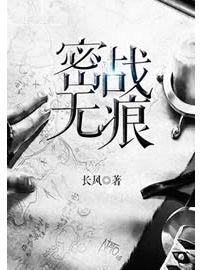 《密战无痕》作者：长风