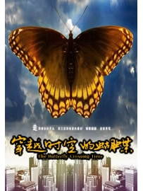 《穿越时空的蝴蝶》作者：老老王