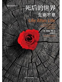 《死后的世界 : 生命不息》作者：雷蒙德