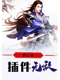 《插件无敌》作者：野白菜