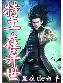 《特工在异世》作者：黑夜de白羊