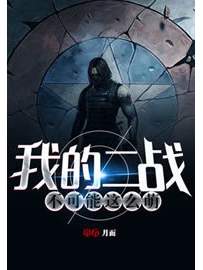 《我的二战不可能这么萌》作者：月面