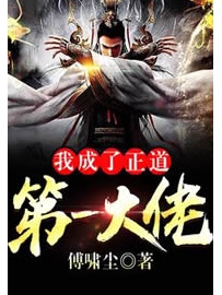 《我成了正道第一大佬》作者：傅啸尘
