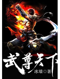 《武尊天下》作者：冰墙