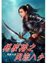 《杨家将之风流八少》作者：宵烟