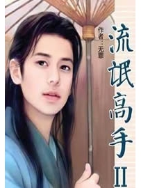《流氓高手II》作者：无罪