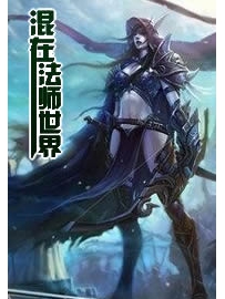 《混在法师世界》作者：黑暗骑士殿