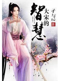 《大宋的智慧》作者：孑与2
