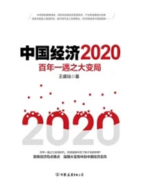 《中国经济2020》 作者：王德培
