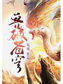 《兽破苍穹》作者：妖夜