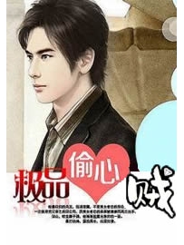 《极品偷心贼》作者：徐亮雨